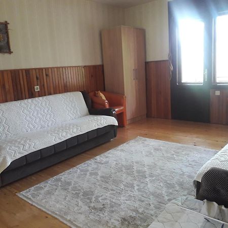 Vila Trtovic Nova Varos Luaran gambar